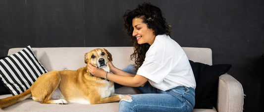 Interview mit Nina Kanani von der 7ate9 Agency