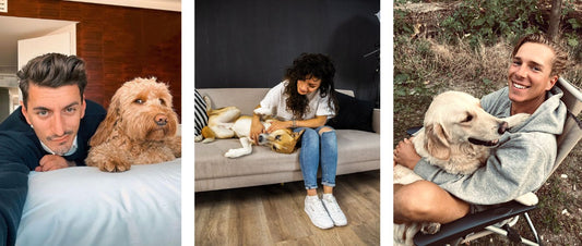 Hooman & Hund - Kurze Geschichten von besonderen Mensch-Hund-Beziehungen