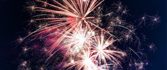 Mit Hund Silvester feiern - 5 Tipps für Angsthunde