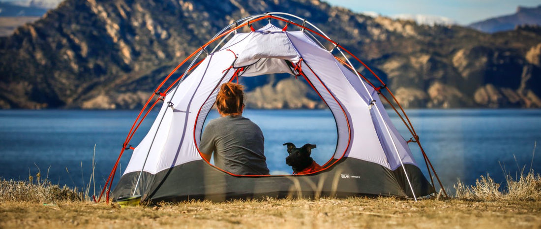 Sommerurlaub mit Hund - Tipps für eine entspannte Reise mit Hund