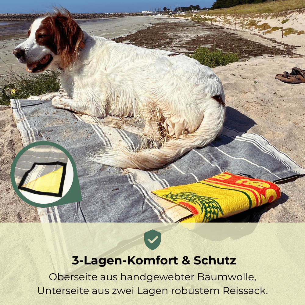 Hund entspannt auf nachhaltiger Outdoor-Decke von Goopsi mit Baumwolle und Reissack am Strand.