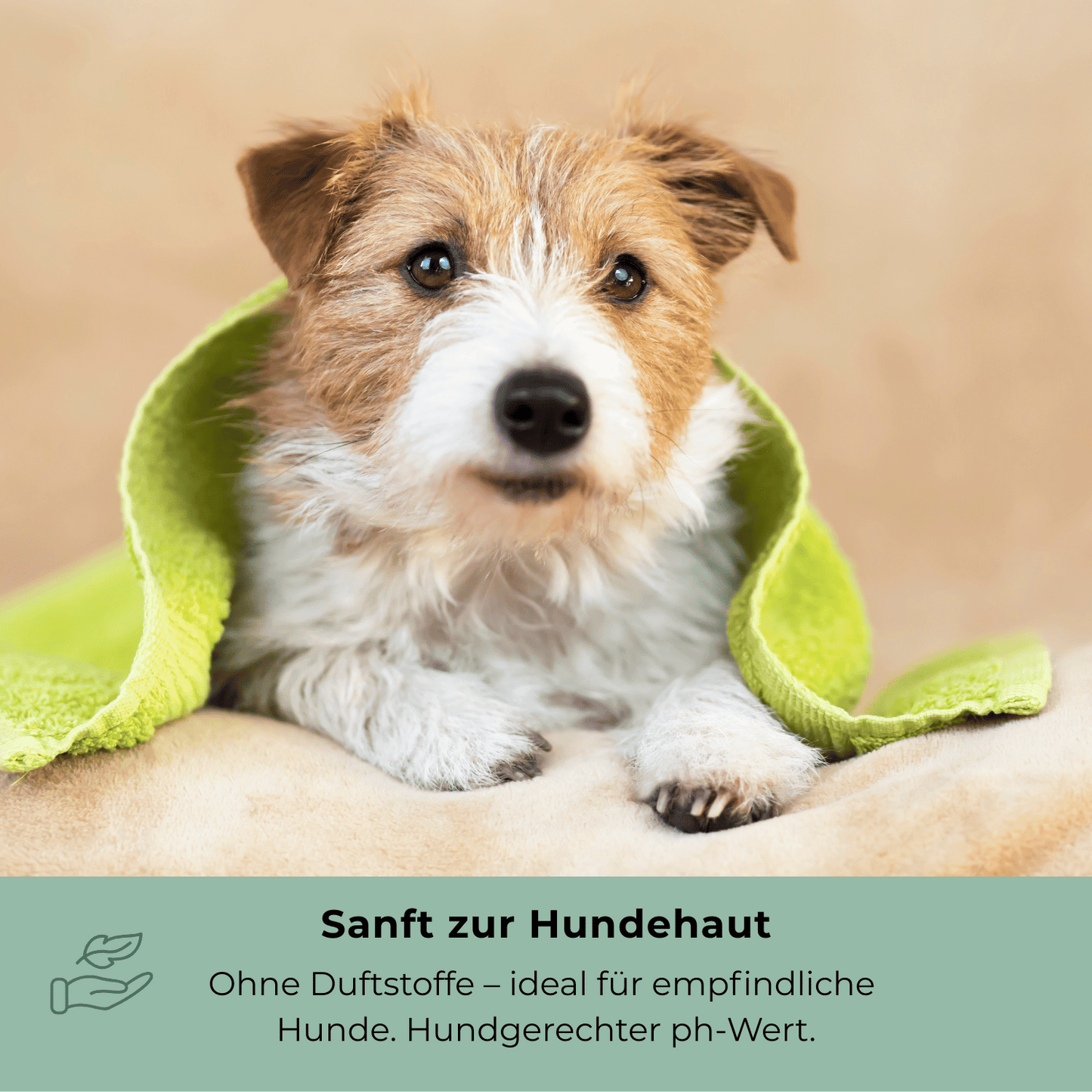 Sanfte Goopsi Hundeseife – pH-gerecht, ohne Duftstoffe, hautfreundlich. Ideal für empfindliche Haut und Allergiker