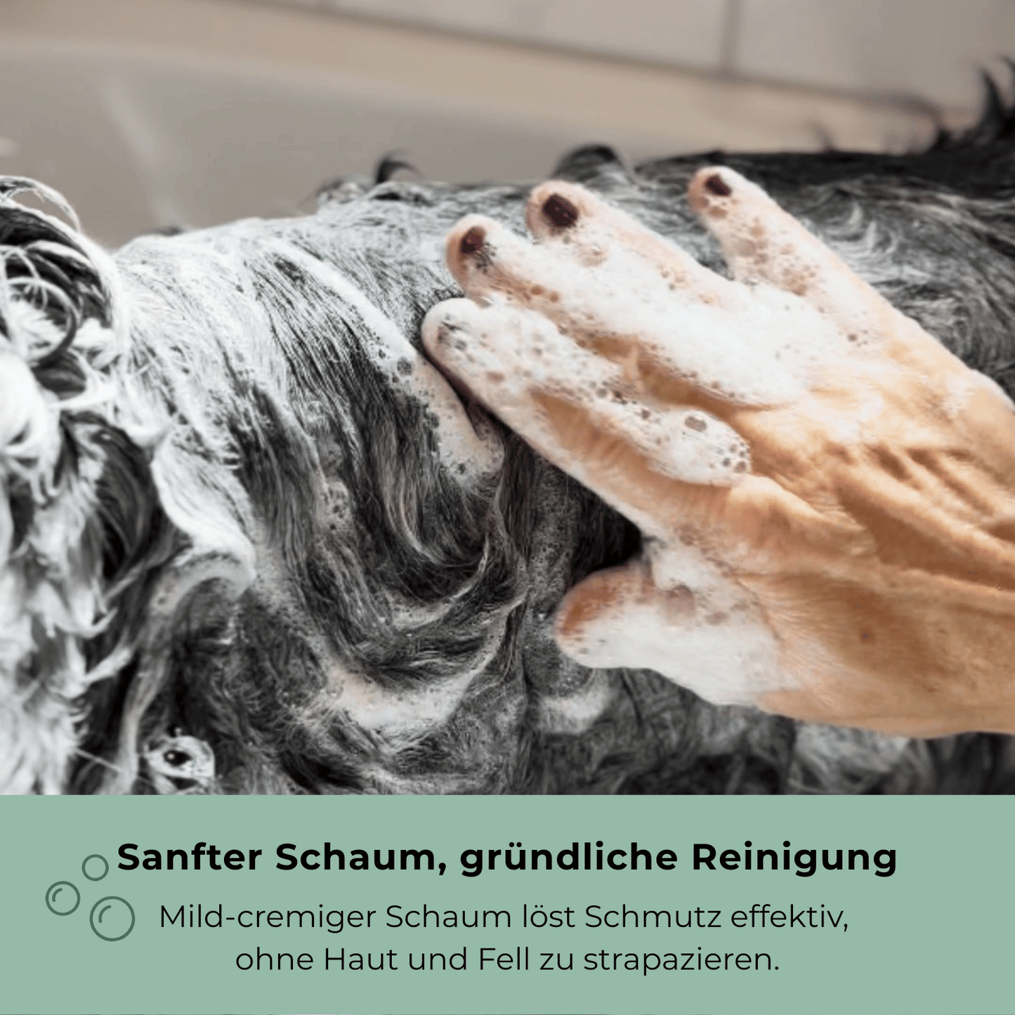 Sanfter Schaum der Goopsi Hundeseife reinigt Fell mild und gründlich