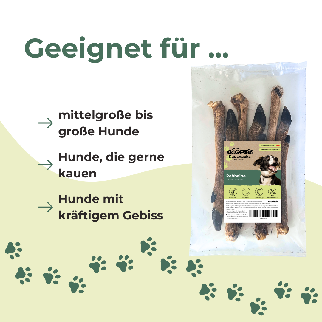 Rehbeine für Hunde
