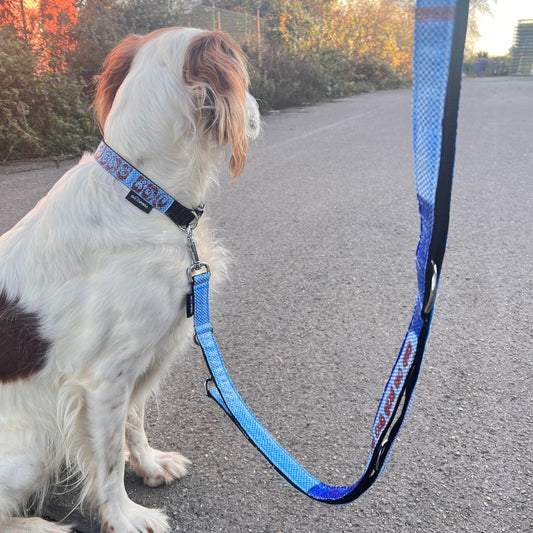 Hundeleine "Lanka", 2m - blau