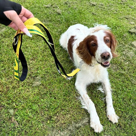 Hundeleine "Lanka", 2m - gelb