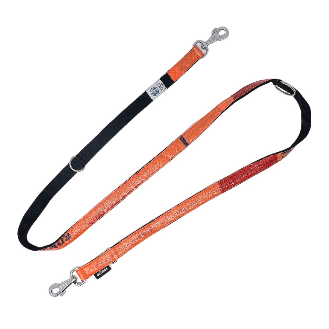 Hundeleine "Lanka", 2m - orange