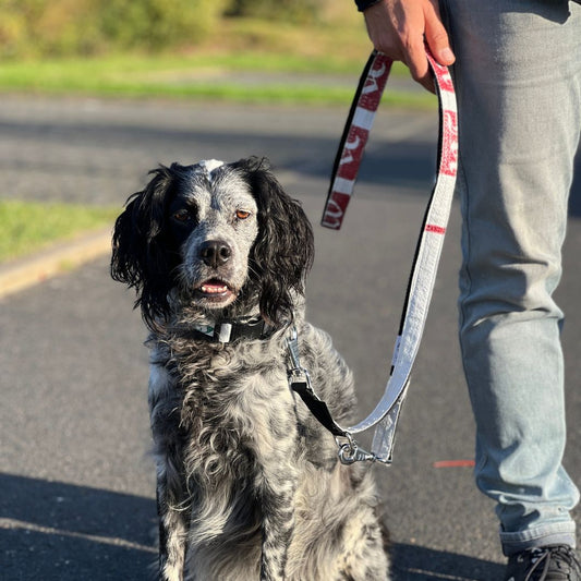 Hundeleine "Lanka", 2m - weiss