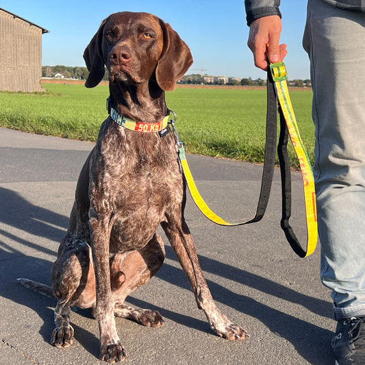 Hundeleine "Arugam", 2m - gelb