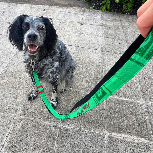 Hundeleine "Arugam", 2m - grün
