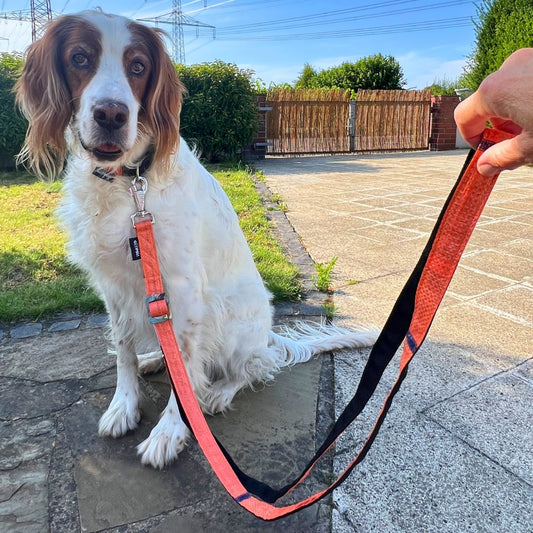 Hundeleine "Arugam", 2m - orange