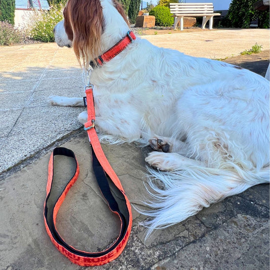 Leinenset "Arugam" mit Halsband Gr. S/M (25-35cm) - orange