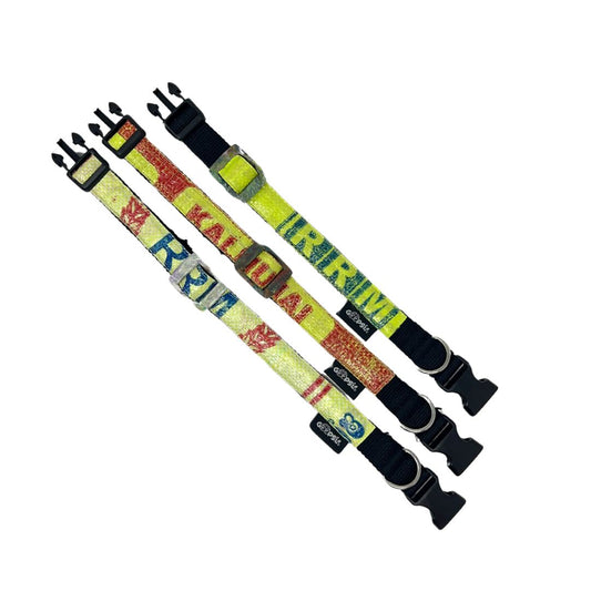 Hundehalsband "Style mich!" lemon - versch. Größen