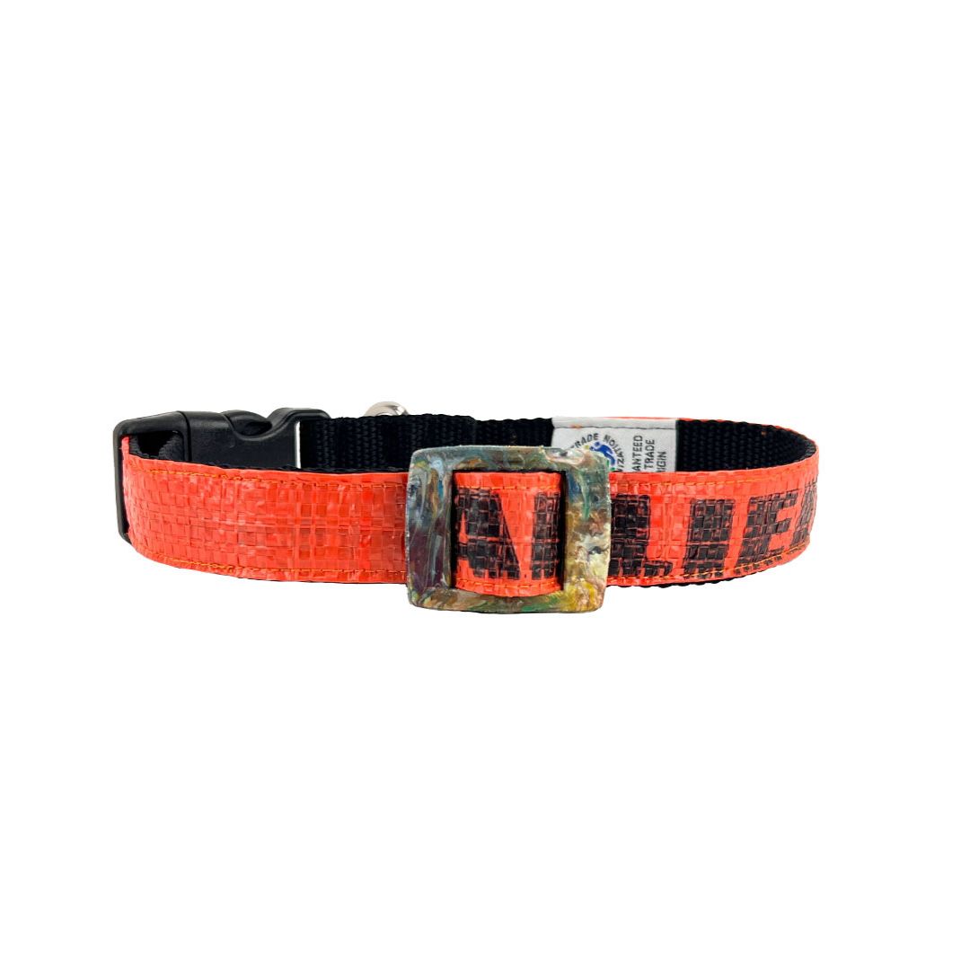 Hundehalsband "Style mich!" orange - versch. Größen