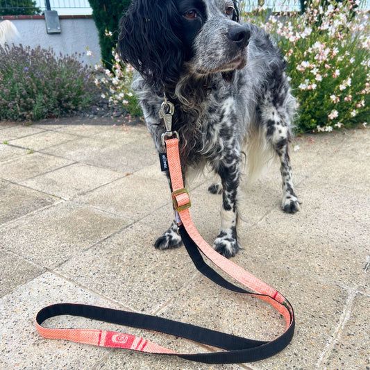 Hundeleine "Arugam", 2m - lachs