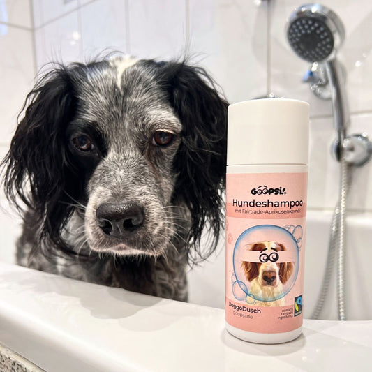 Veganes Hundeshampoo mit Aprikosenkernöl