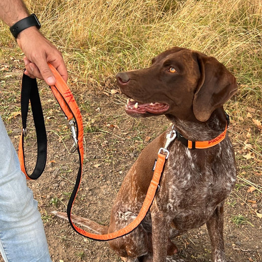 Leinenset "Lanka" mit Halsband Gr. M (32-42cm) - Orange