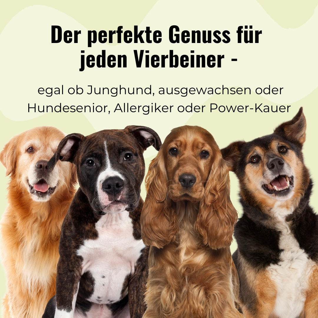 Rehohren mit Fell - 12 Stk.