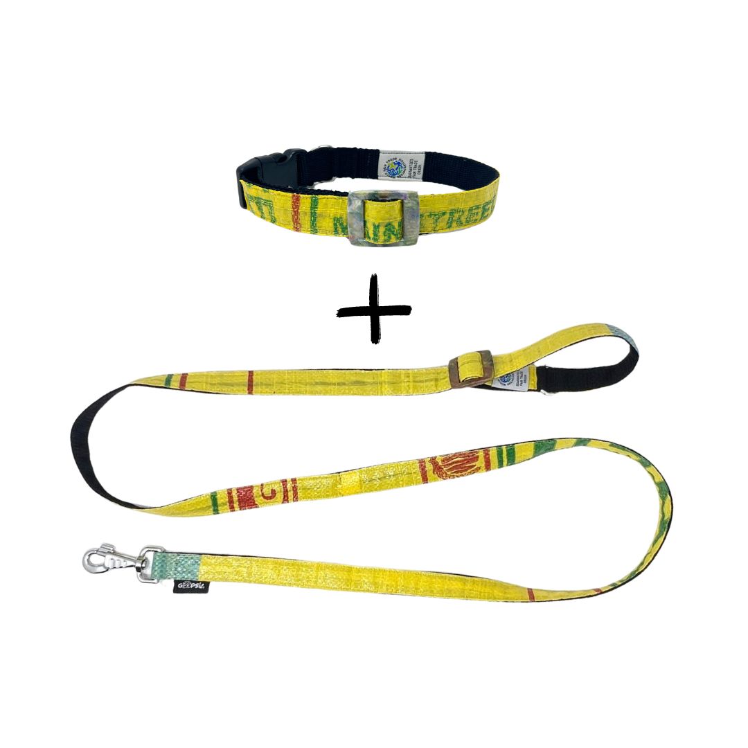Leinenset "Arugam" mit Halsband Gr. M (32-42 cm) - gelb
