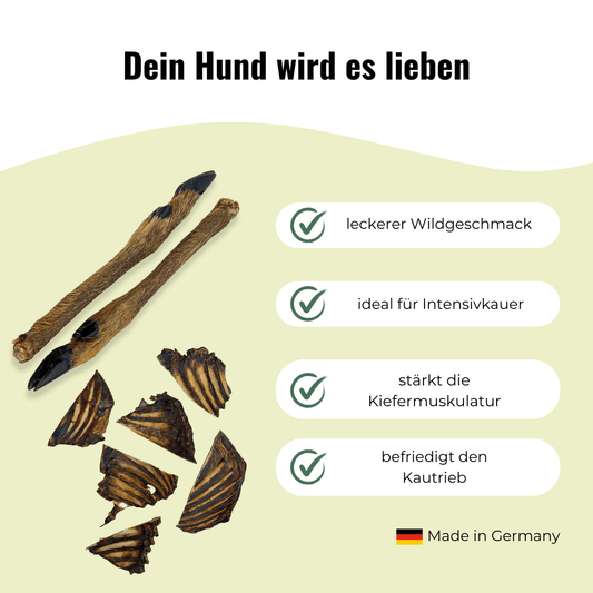 Kau-Set Reh – 6 Rehbeine & 300 g Rehrippen