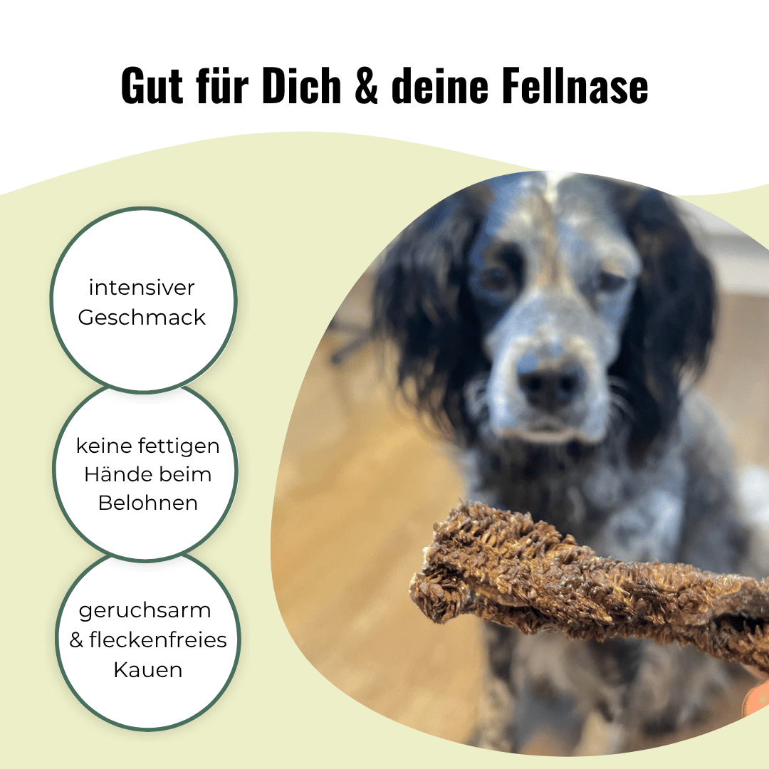 Snack-Set Rind – Rinderohrmuscheln & Rinderpansen je 500g