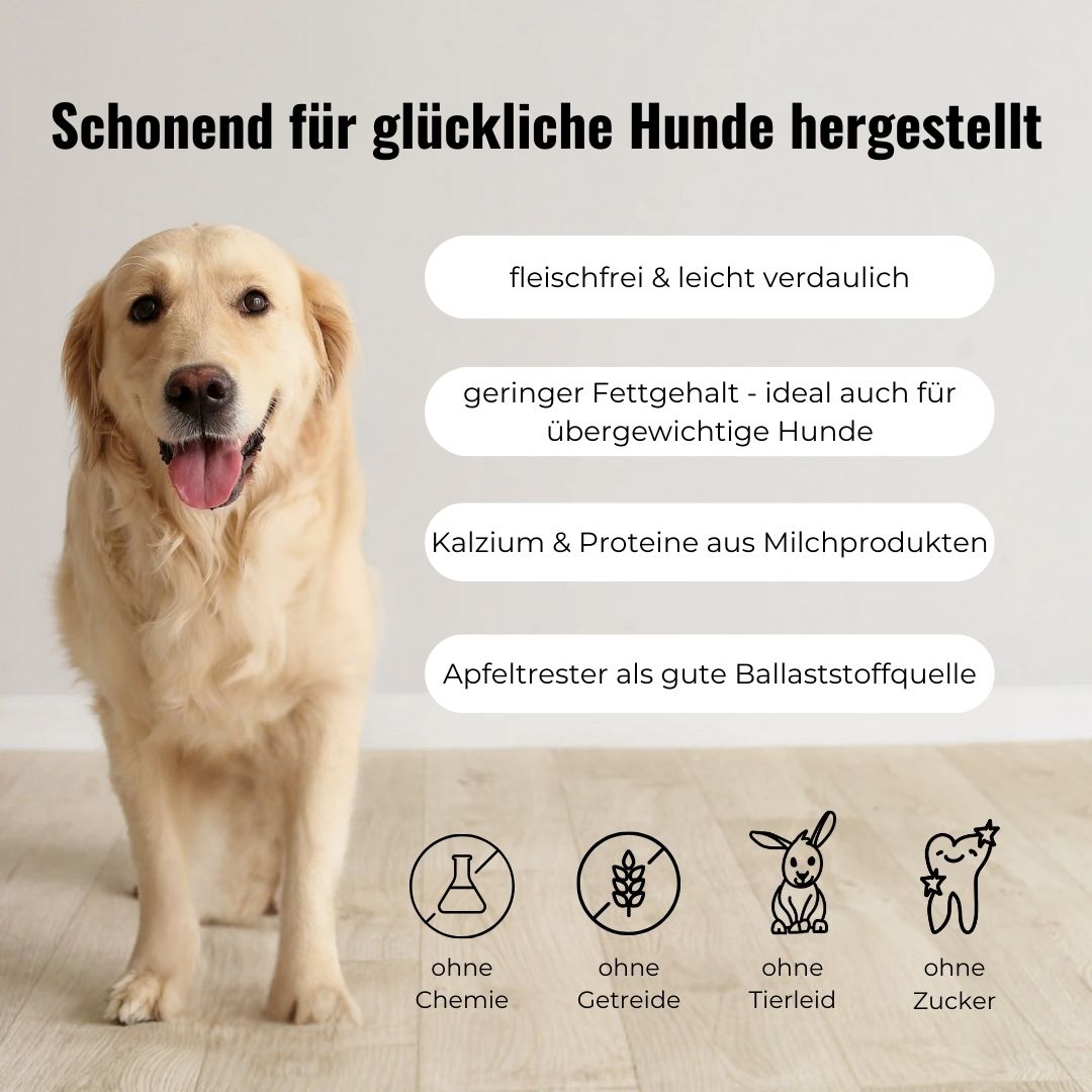 vegetarische Hundeleckerlis