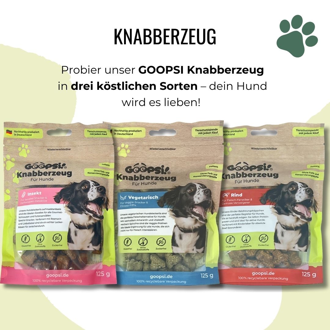 Insekten-Hundeleckerlis