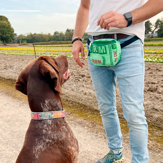 Gassitasche "Trag ma!" - versch. Farben