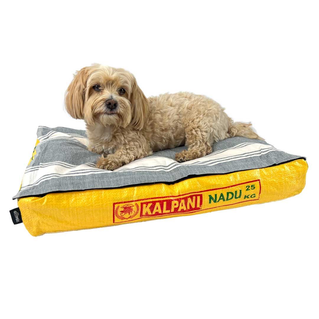 Fairtrade Hundekissen mit Bio-Baumwollfüllung "Chill ma!" - versch. Farben