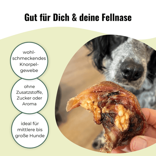 2x 500g Rinderohrmuscheln