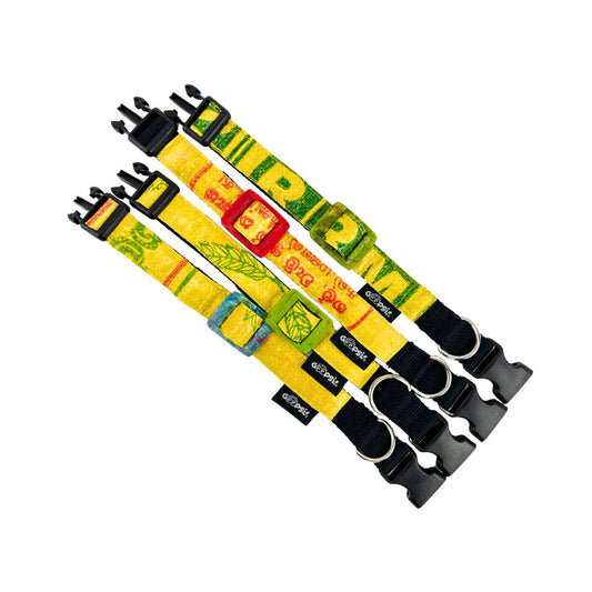 Hundehalsband "Style mich!" gelb - versch. Größen