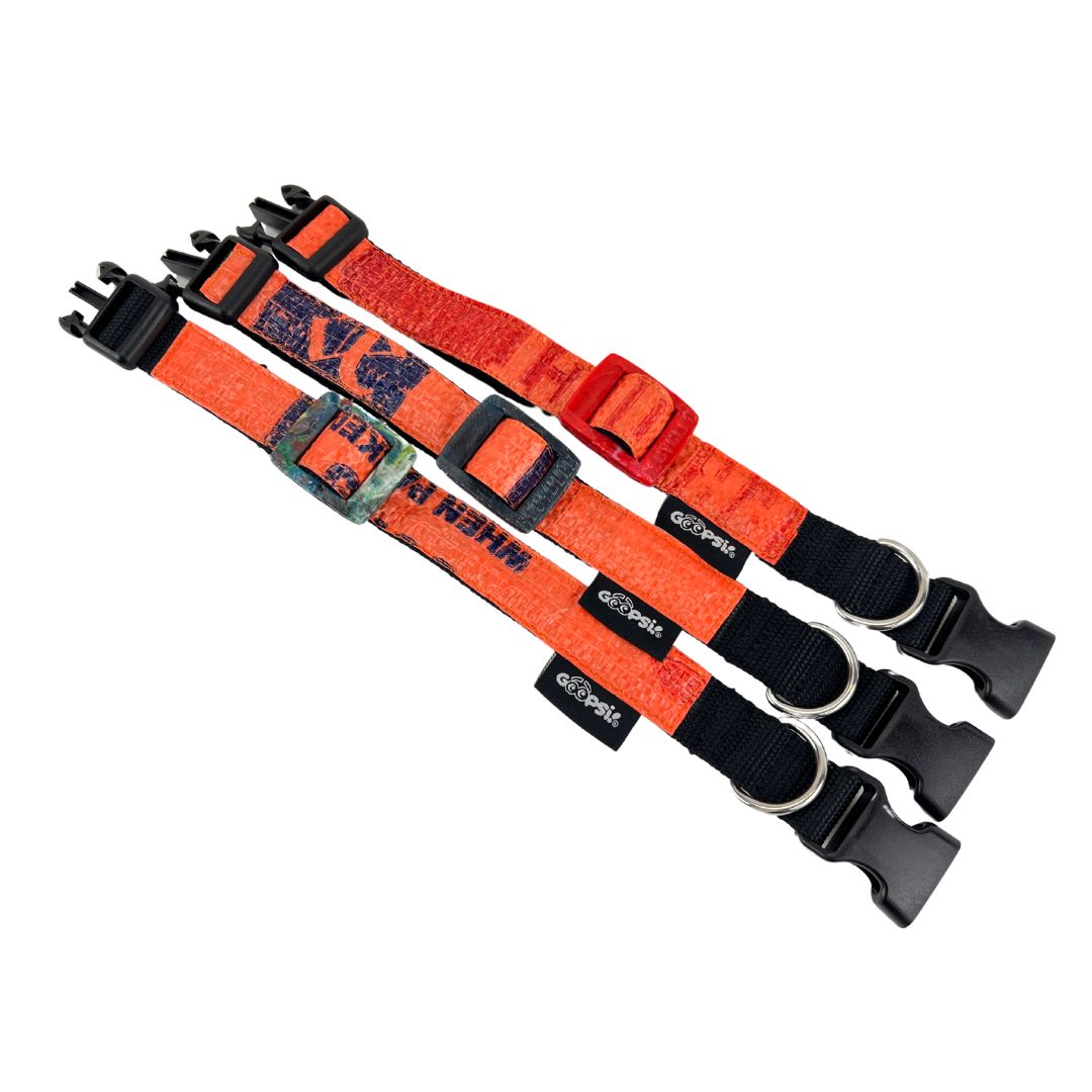 Leinenset "Lanka" mit Halsband Gr. M (32-42cm) - Orange