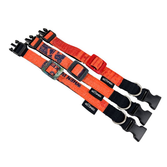 Hundehalsband "Style mich!" orange - versch. Größen