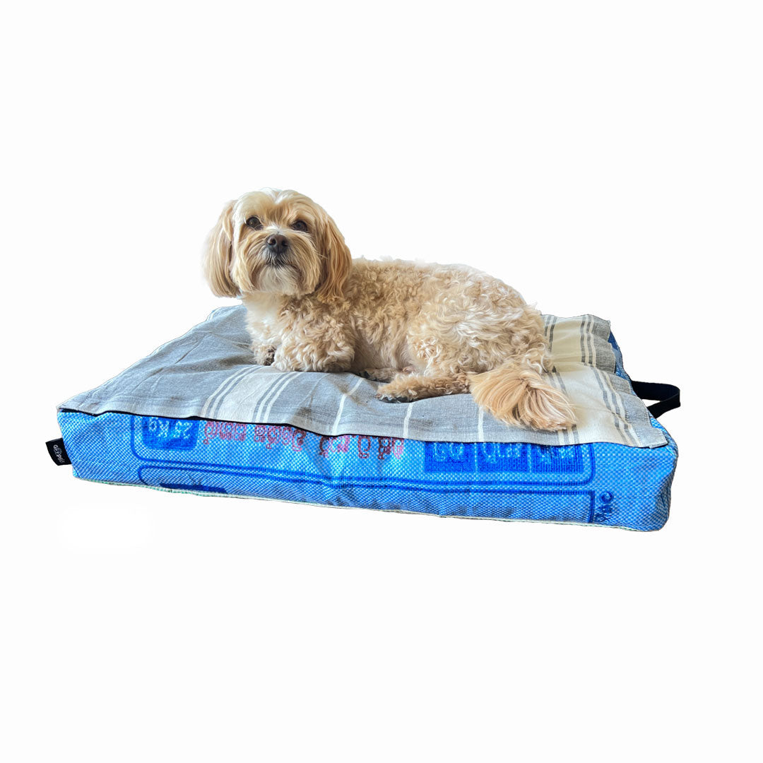 Fairtrade Hundekissen mit Bio-Baumwollfüllung "Chill ma!" - versch. Farben