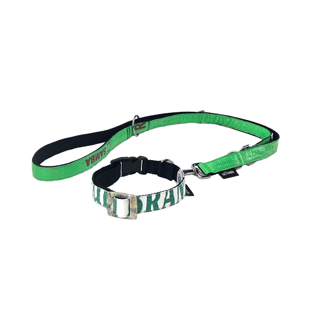 Leinenset "Lanka" mit Halsband Gr. L (37-51cm) - grün