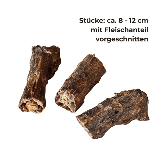 Rehhalsknochen getrocknet