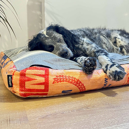 Goopsi nachhaltiges Hundebett Hundematratze Hundekissen mit Dinkelspelzen gefüllt aus kontrolliert biologischem Anbau upcycling fairtrade Bezug aus Reissack und Oberstoff mit Klettband aus handgewebter Baumwolle waschbar gemütlich mit Tragegriff Liegeplatz für Hunde