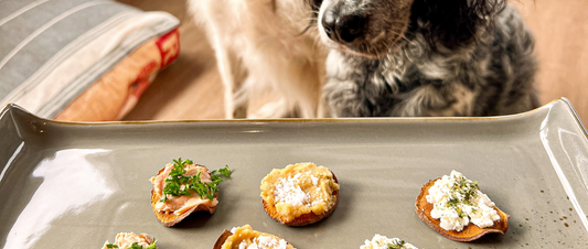 Gesunde Leckerlies für Hunde selber machen – Süßkartoffeltaler mit Topping