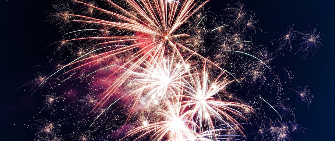 Mit Hund Silvester feiern - 5 Tipps für Angsthunde