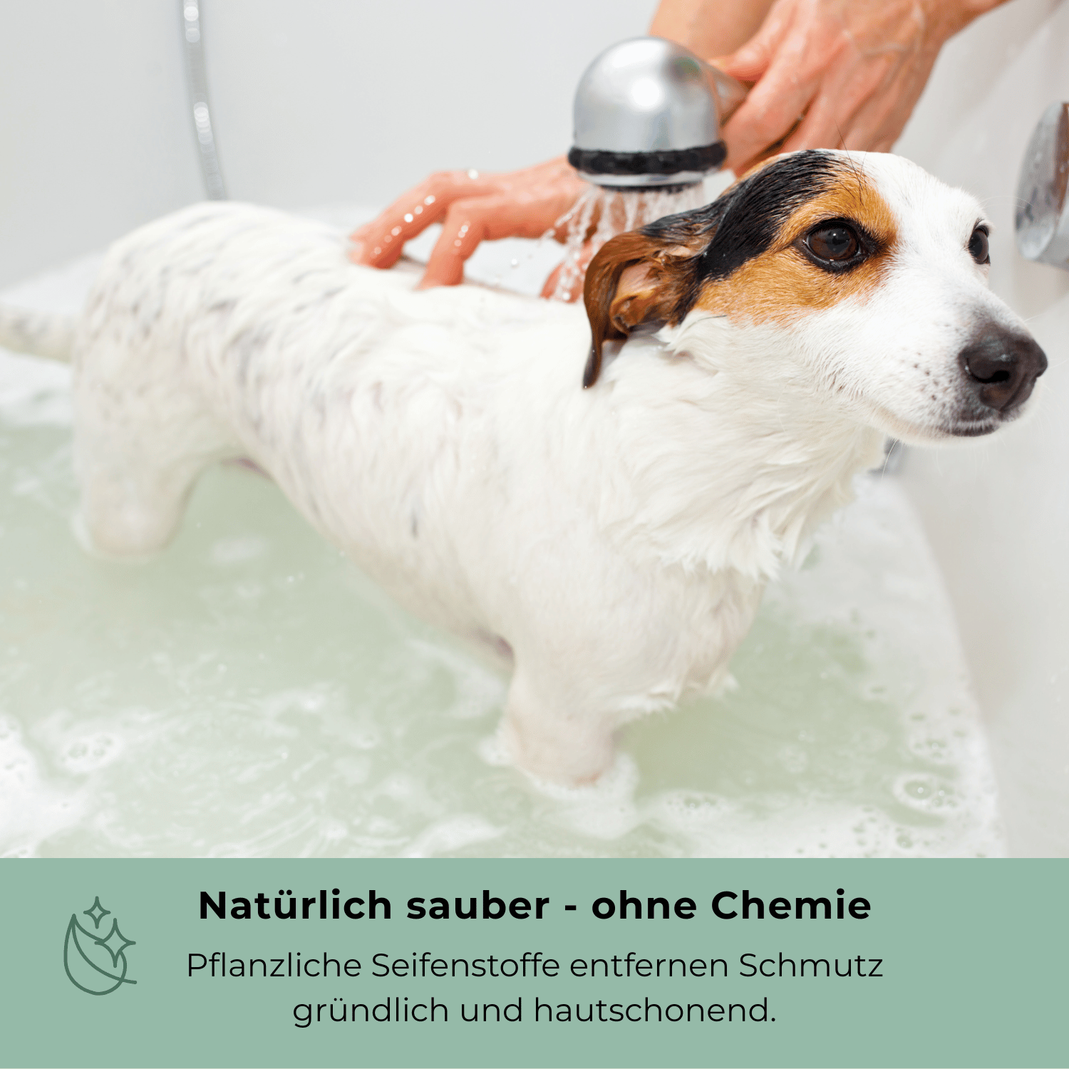 Hundebad mit Goopsi Hundeseife – pflanzlich, gründlich, chemiefrei