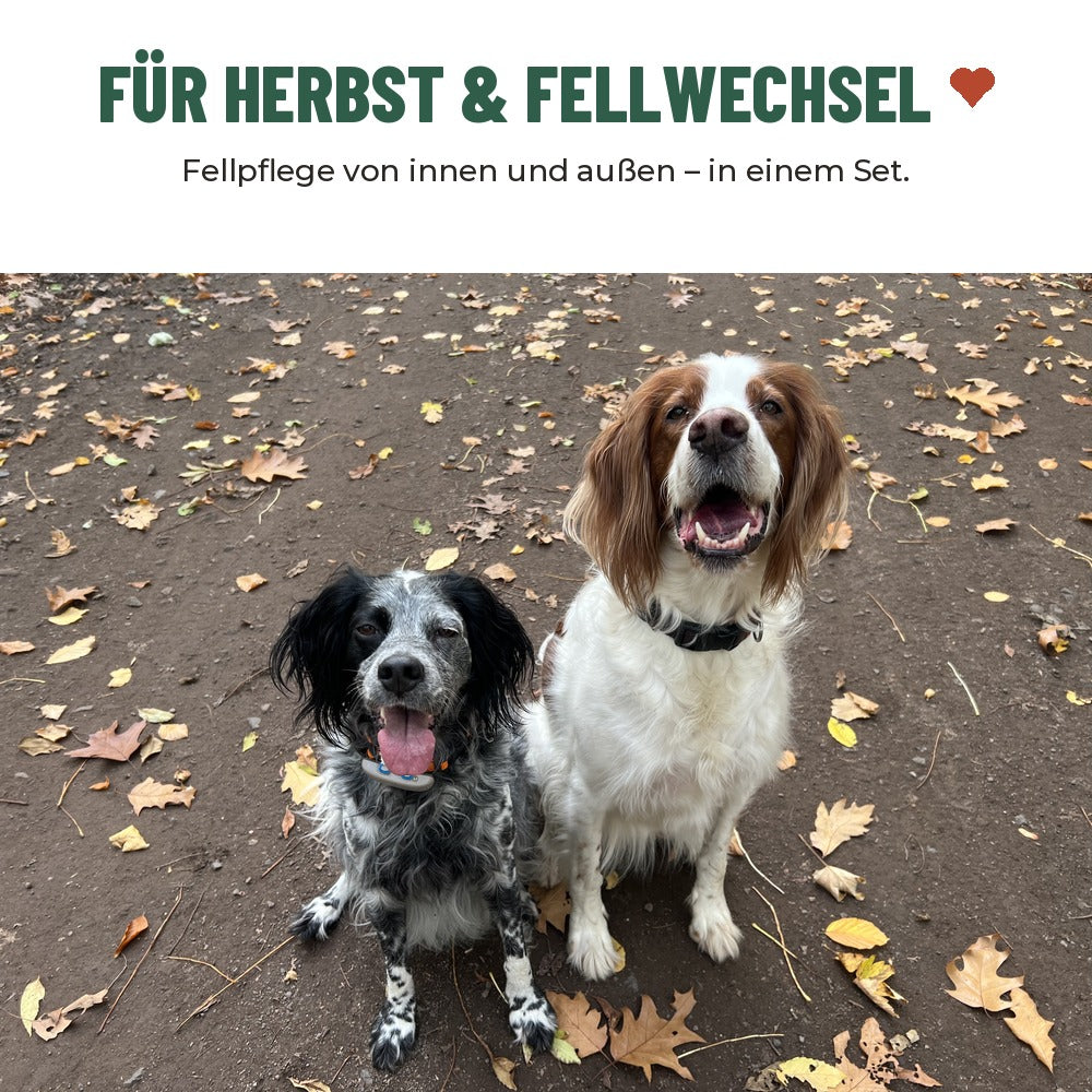 Kennenlern-Set Fellpflege