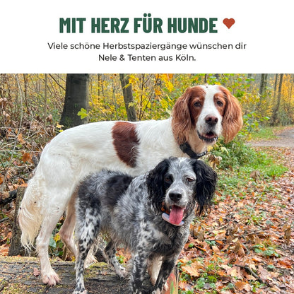 Kennenlern-Set Fellpflege