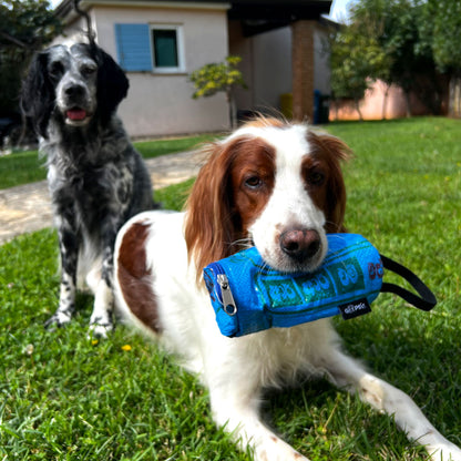 Futterbeutel "Bring ma!" Dummy - versch. Farben