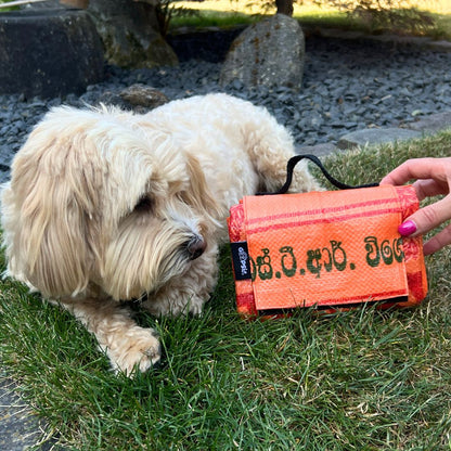 Outdoor Hundedecke "Wart ma" - versch. Farben