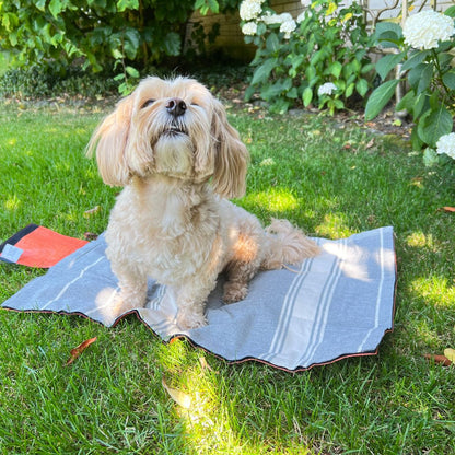 Outdoor Hundedecke "Wart ma" - versch. Farben