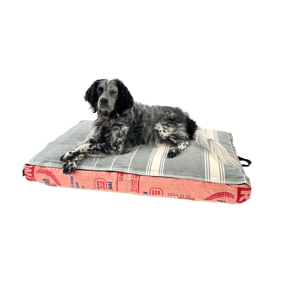 Hundekissen mit Dinkelfüllung