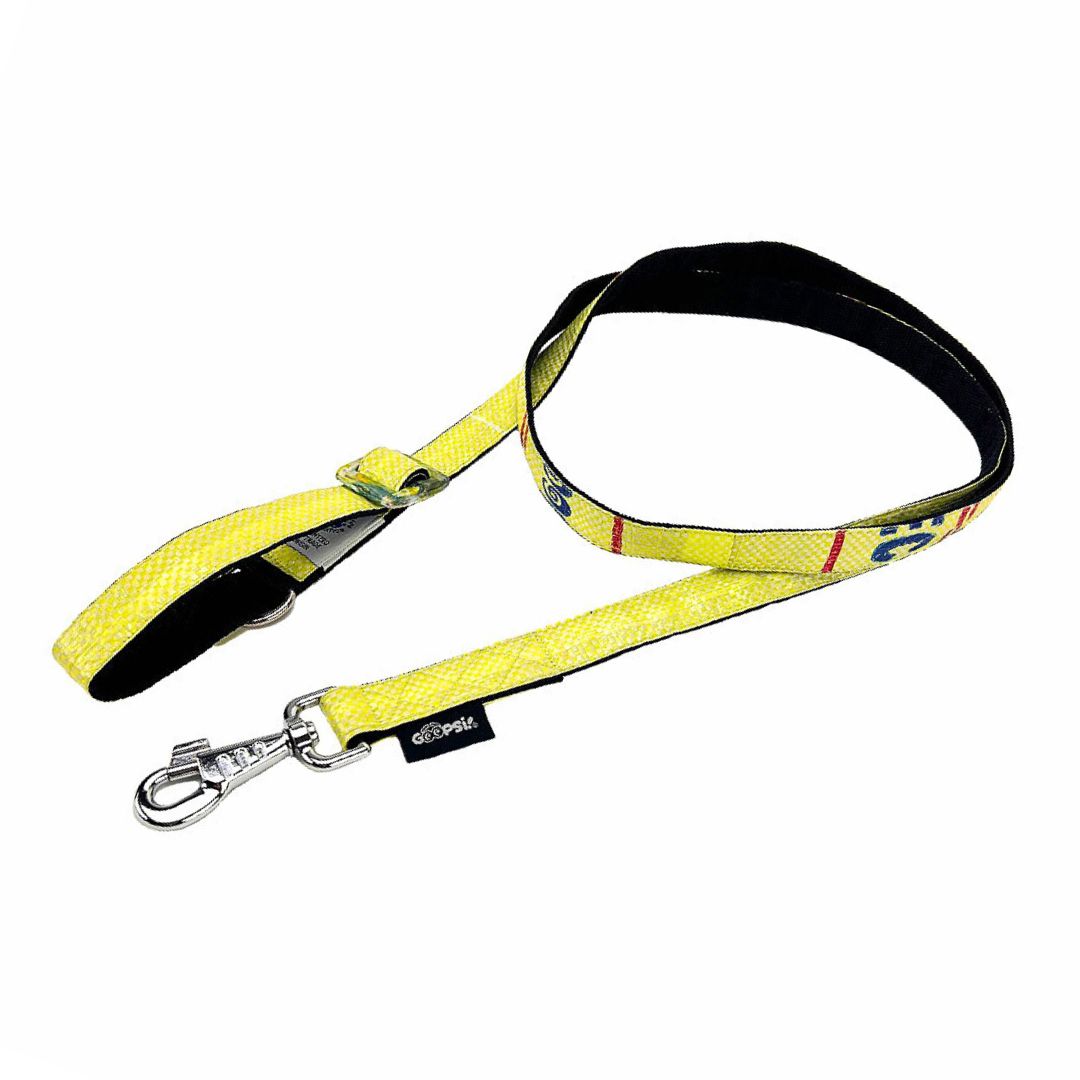 Hundeleine "Arugam", 2m - lemon