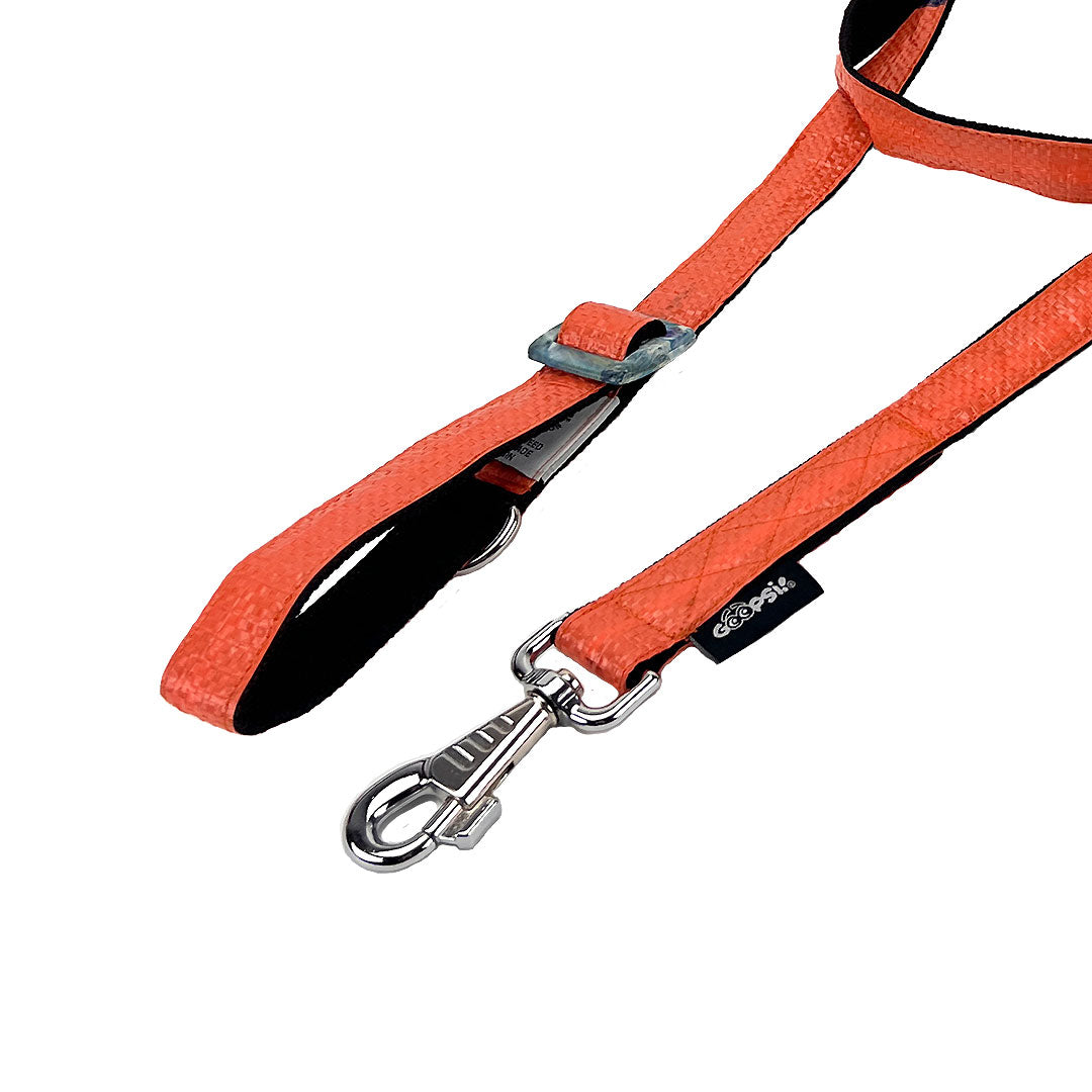 Bundle Hundeleine/Halsband in versch. Größen "Orange"