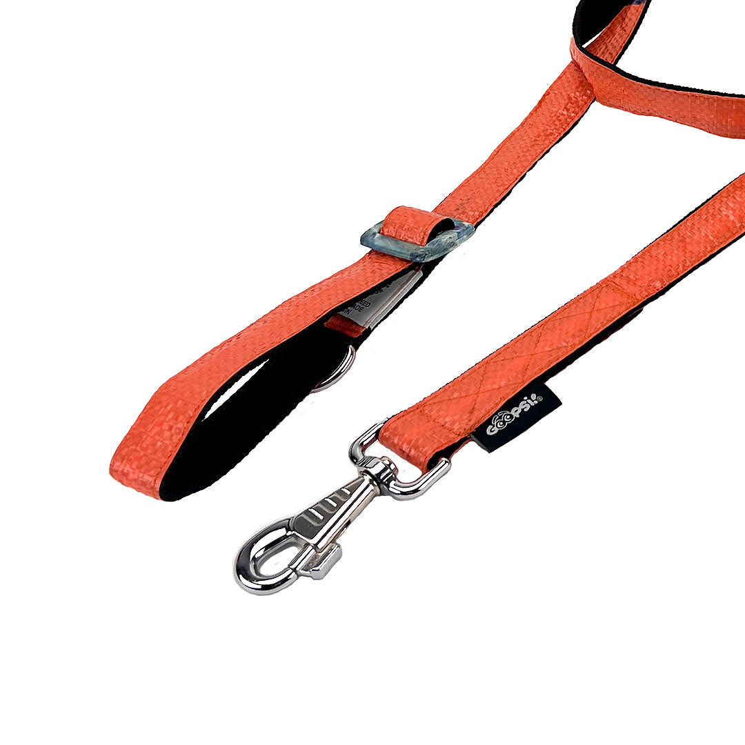 Hundeleine "Arugam", 2m - orange