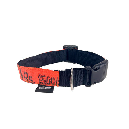 Leinenset "Arugam" mit Halsband Gr. S/M (25-35cm)  - orange